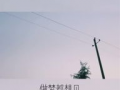 励志短视频创业,梦想照进现实
