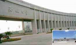 聊城大学大学吃瓜大爆料,揭秘校园吃瓜大事件背后的真相