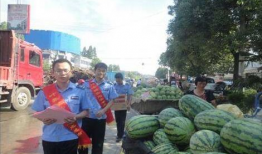 凉山吃瓜爆料事件真相,揭秘背后真相与反思