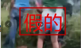 礼花短视频,短视频记录美好瞬间
