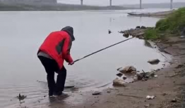 鱼游的短视频,揭秘鱼儿们的欢乐时光